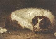 Johann Christoph Rincklake A sporting dog lying down Spain oil painting artist